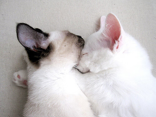 九游网-_2025超级网球系列赛开启，引领新一轮体育热潮_，网球超级赛事