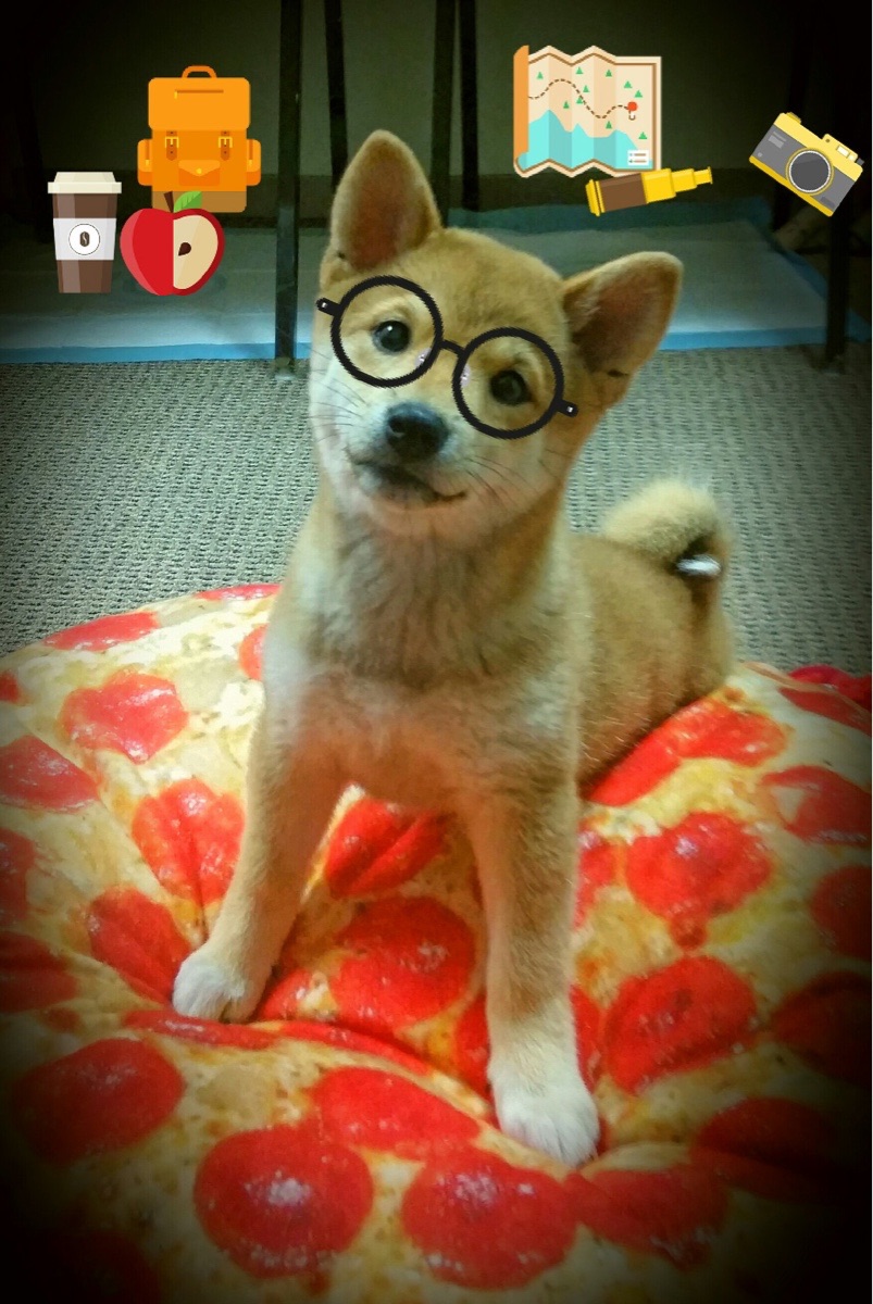 九游娱乐官网 (JIUYOU)-传统技艺“宝塔滚绣”比赛，文化融合的视觉盛宴，宝塔绣球是什么品种